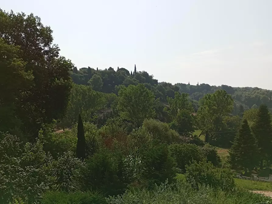 Immagine 6 di Appartamento in vendita  a Vinci