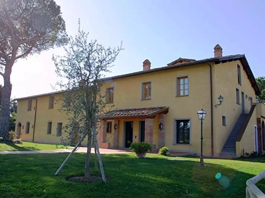 Immagine 4 di Azienda agricola in vendita  a San Miniato