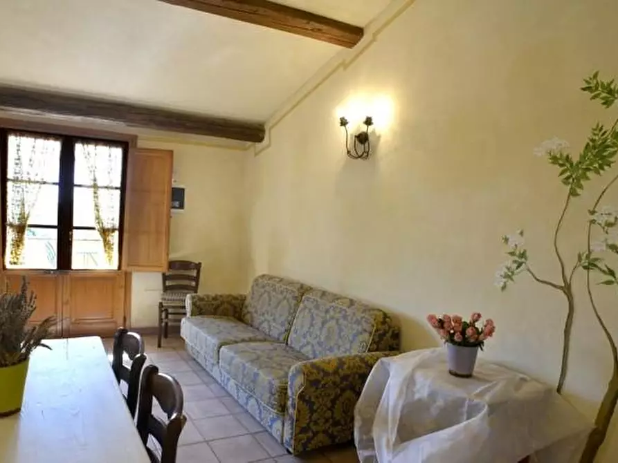 Immagine 16 di Azienda agricola in vendita  a San Miniato