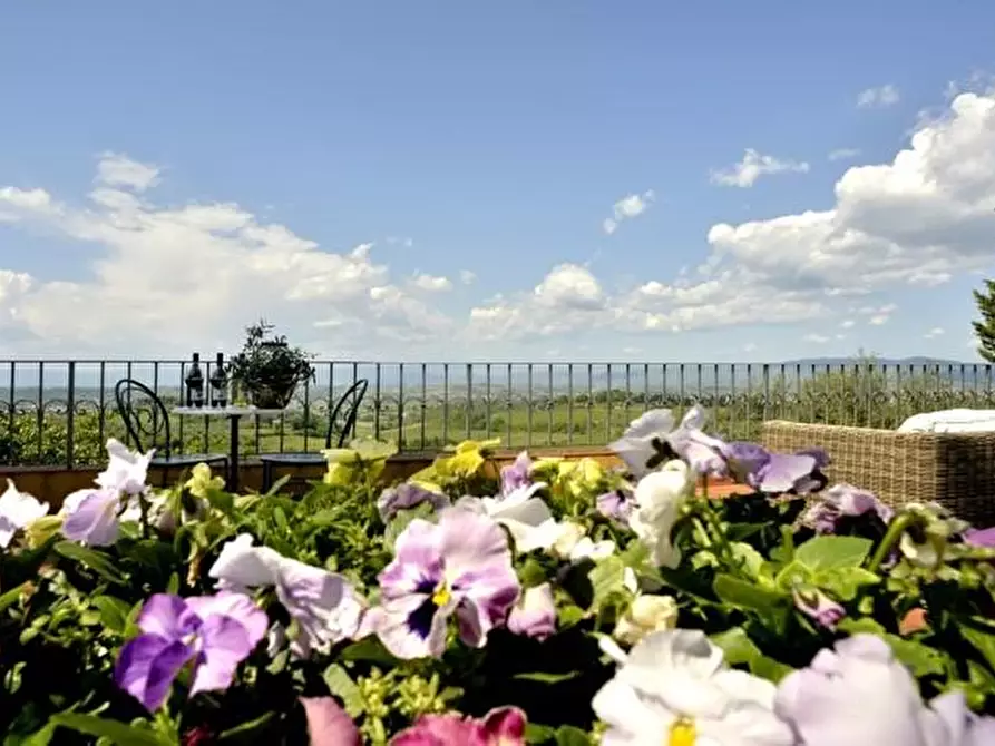 Immagine 5 di Azienda agricola in vendita  a San Miniato