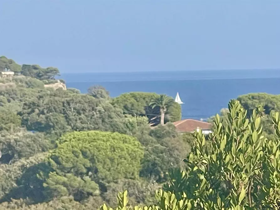 Immagine 5 di Villa in vendita  a Portoferraio