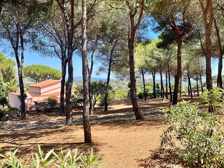 Immagine 18 di Villa in vendita  a Portoferraio