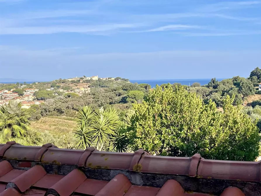 Immagine 4 di Villa in vendita  a Portoferraio