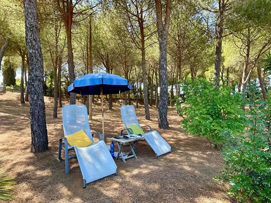 Immagine 26 di Villa in vendita  a Portoferraio