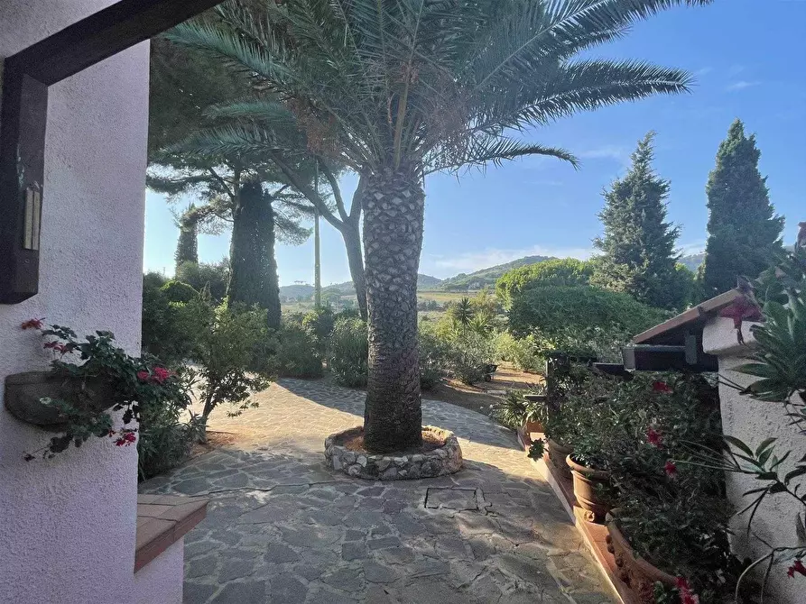 Immagine 10 di Villa in vendita  a Portoferraio