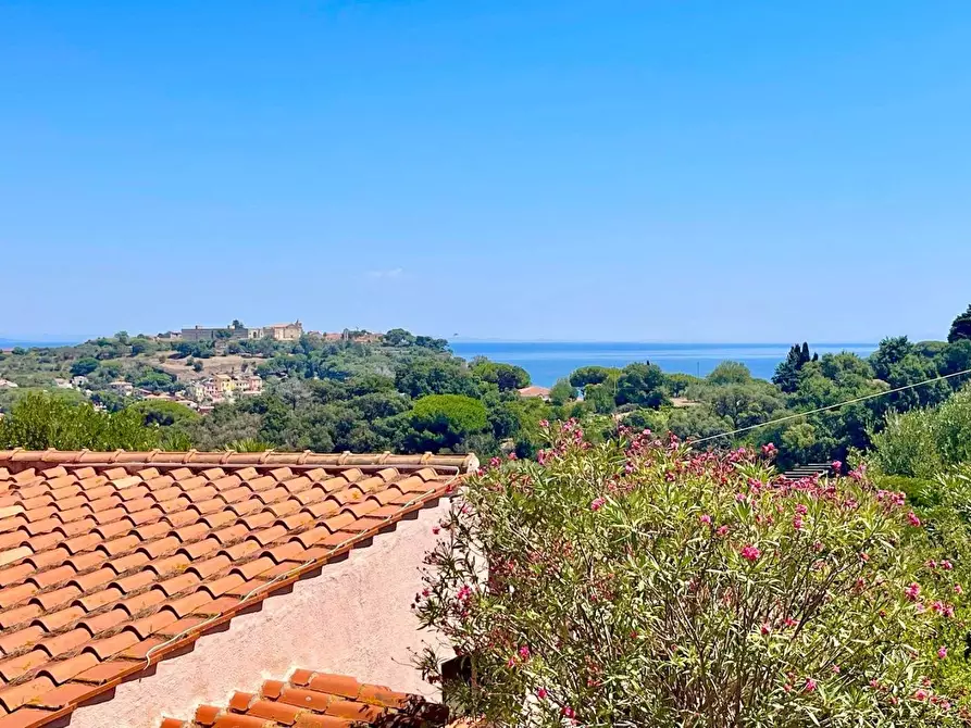 Immagine 2 di Villa in vendita  a Portoferraio