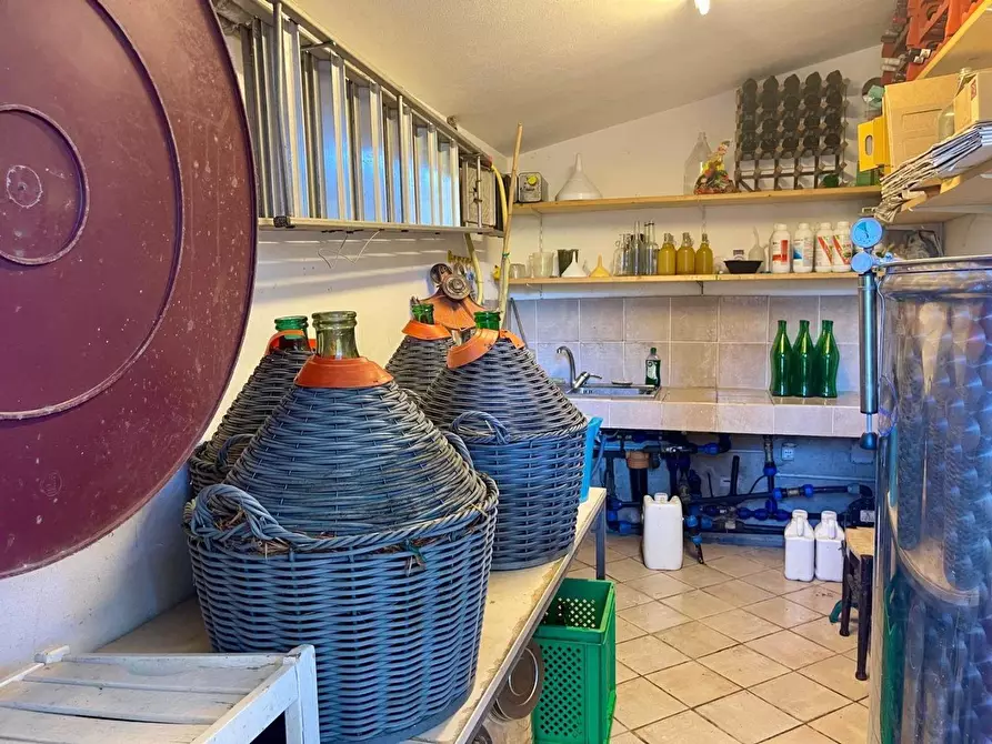 Immagine 7 di Villa in vendita  a Portoferraio