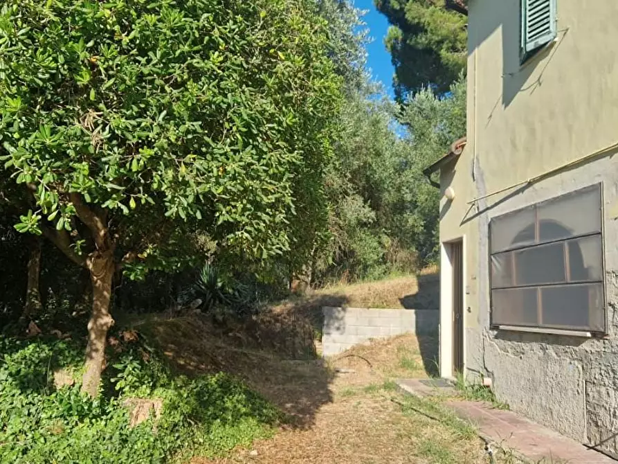 Immagine 49 di Porzione di casa in vendita  a Casciana Terme Lari