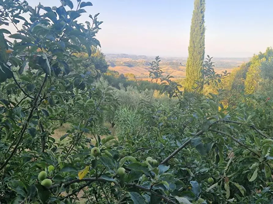 Immagine 47 di Casa indipendente in vendita  a Casciana Terme Lari