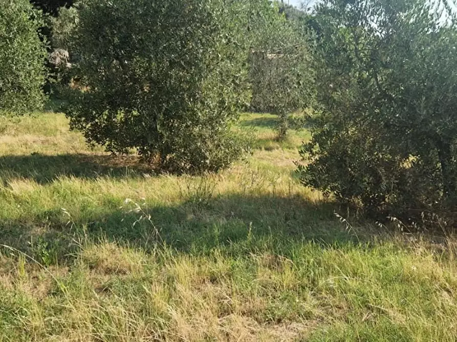Immagine 17 di Casa indipendente in vendita  a Casciana Terme Lari