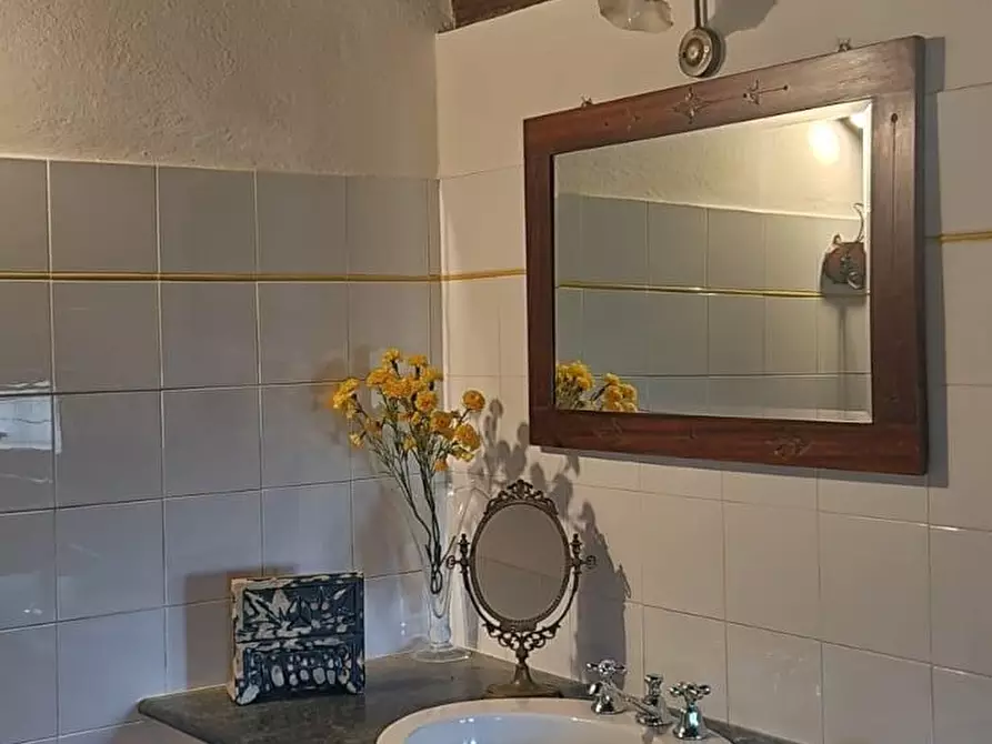 Immagine 28 di Casa indipendente in vendita  a Casciana Terme Lari