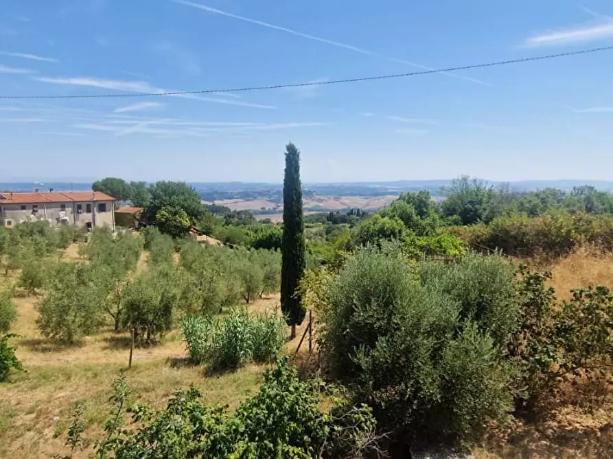 Immagine 3 di Casa indipendente in vendita  a Casciana Terme Lari