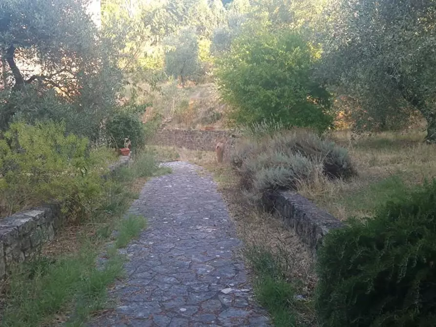 Immagine 49 di Casa indipendente in vendita  a Casciana Terme Lari