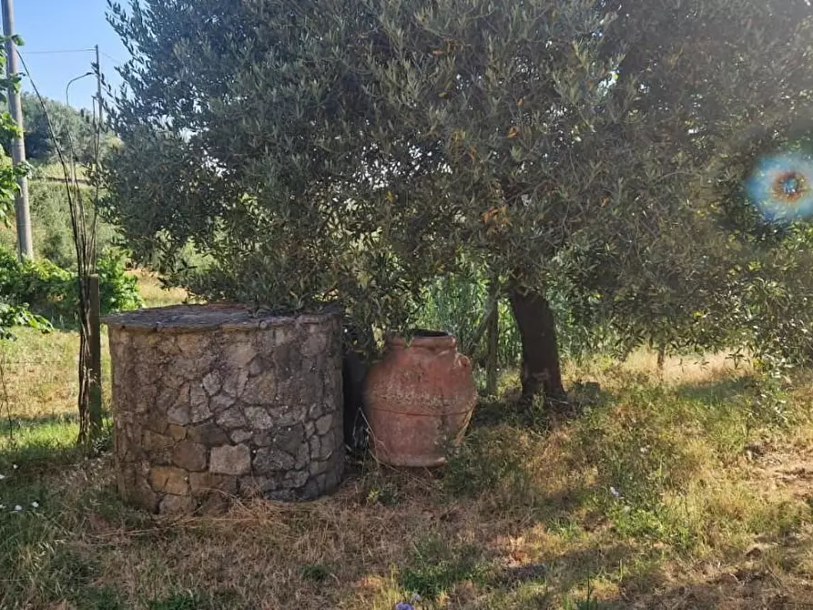 Immagine 29 di Casa indipendente in vendita  a Casciana Terme Lari