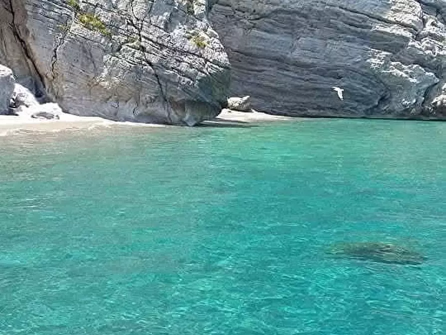 Immagine 11 di Albergo/B&B/Residence in vendita  a Oliveri