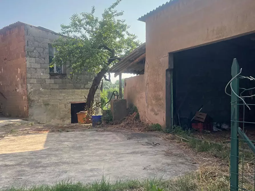 Immagine 4 di Casa indipendente in vendita  a Montopoli In Val D'arno