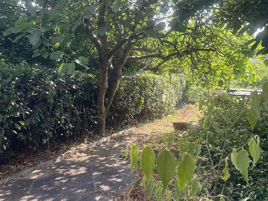 Immagine 3 di Casa indipendente in vendita  a Montopoli In Val D'arno