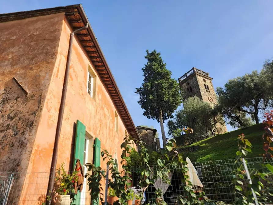 Immagine 3 di Rustico / casale in vendita  a Lucca