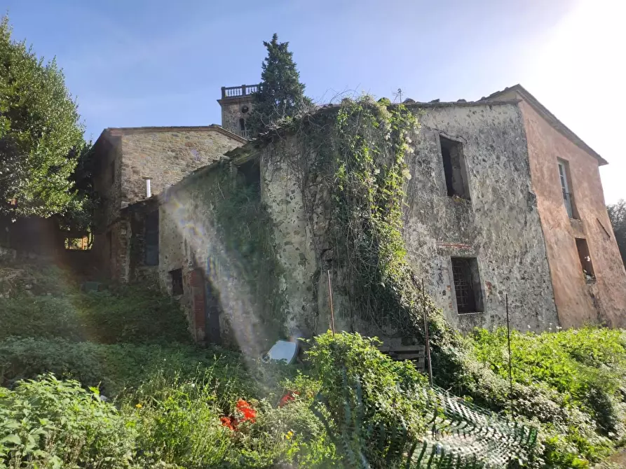 Immagine 31 di Rustico / casale in vendita  a Lucca