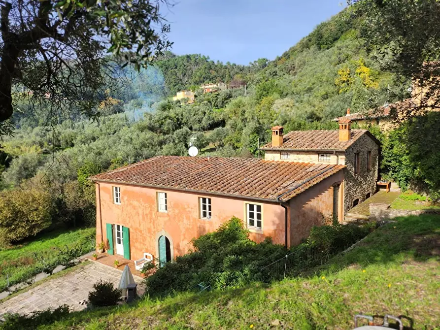 Immagine 2 di Rustico / casale in vendita  a Lucca
