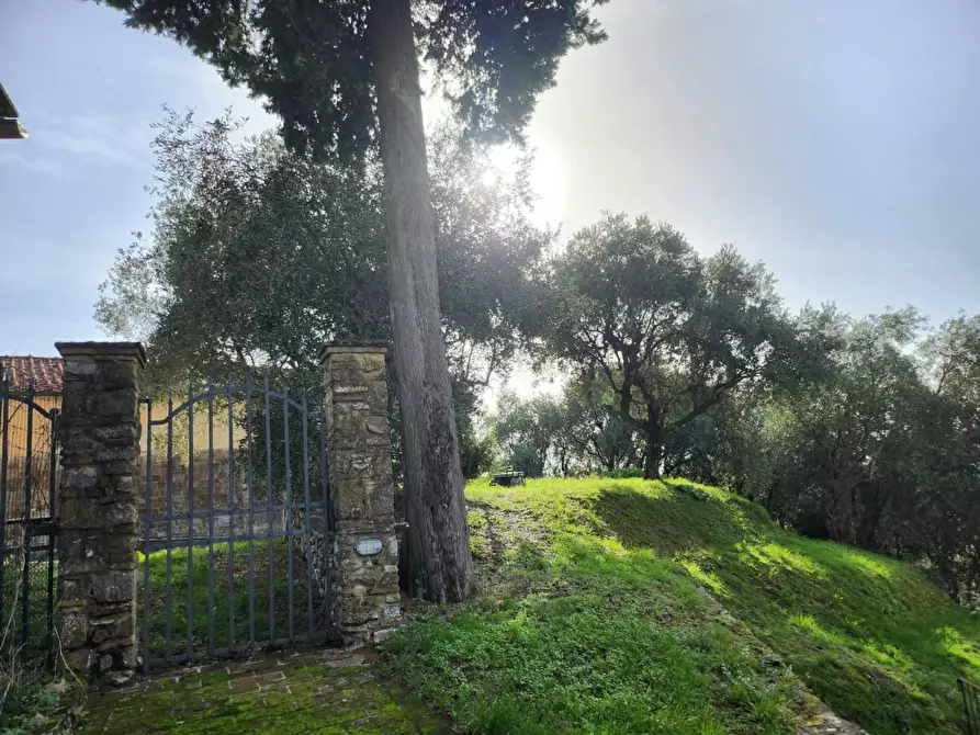 Immagine 32 di Rustico / casale in vendita  a Lucca