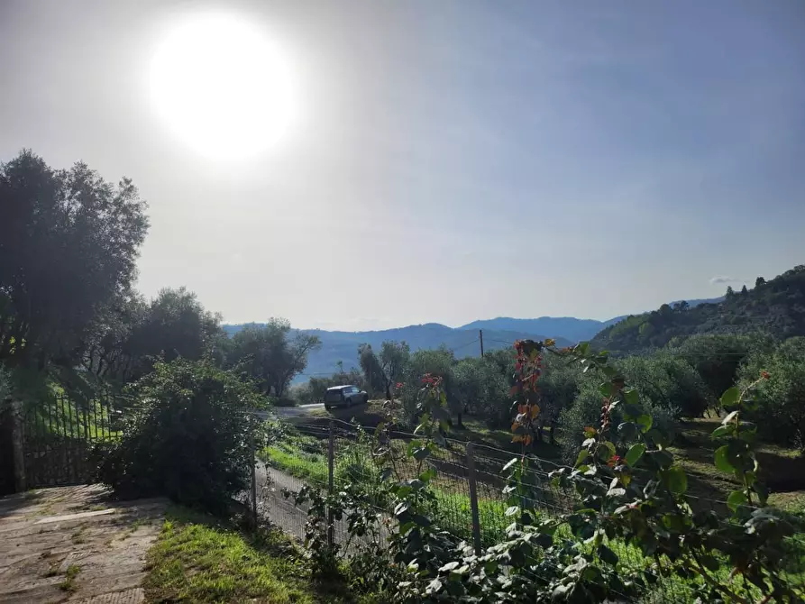 Immagine 11 di Rustico / casale in vendita  a Lucca