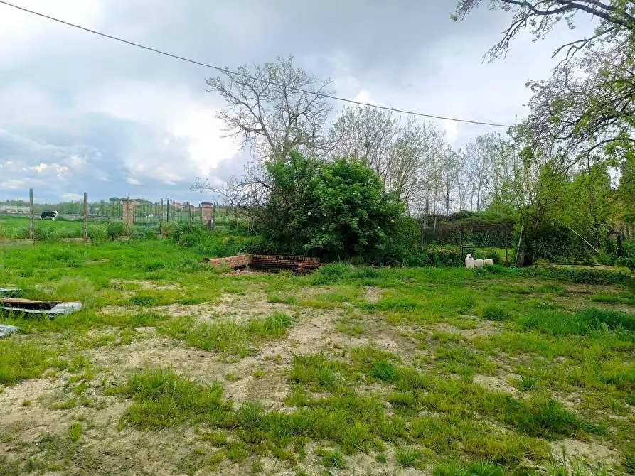 Immagine 27 di Casa colonica in vendita  a Lucignano