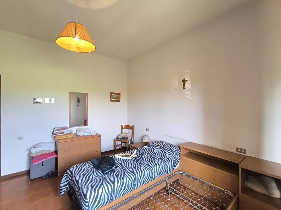 Immagine 13 di Casa colonica in vendita  a Lucignano