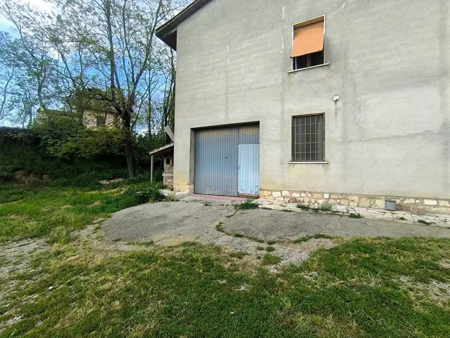 Immagine 5 di Casa colonica in vendita  a Lucignano