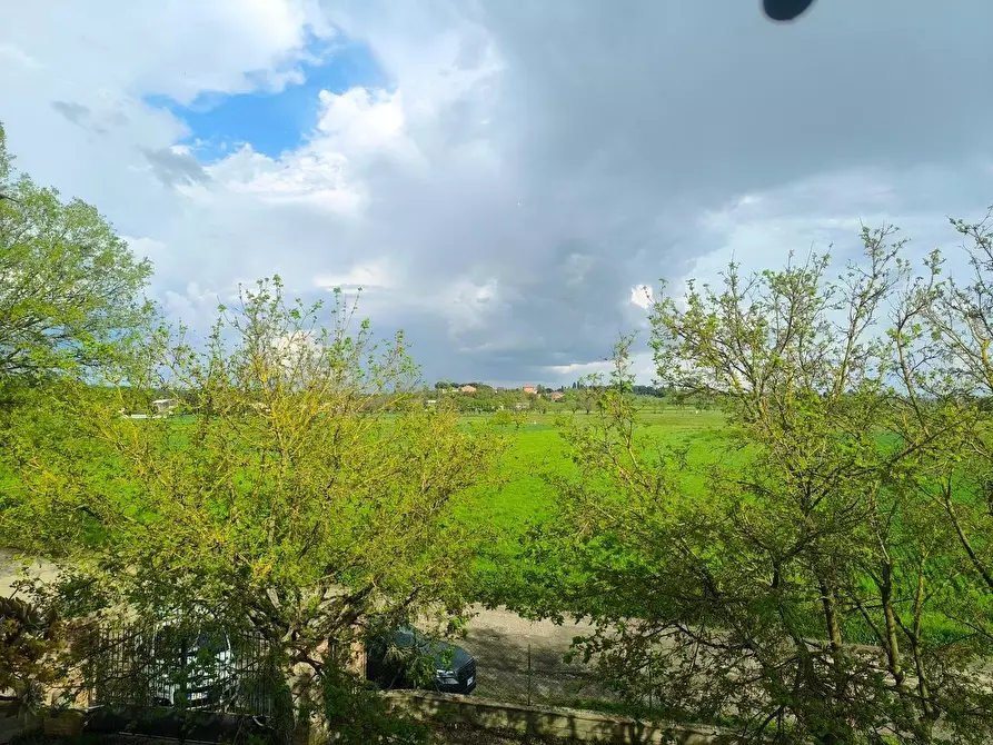 Immagine 14 di Casa colonica in vendita  a Lucignano