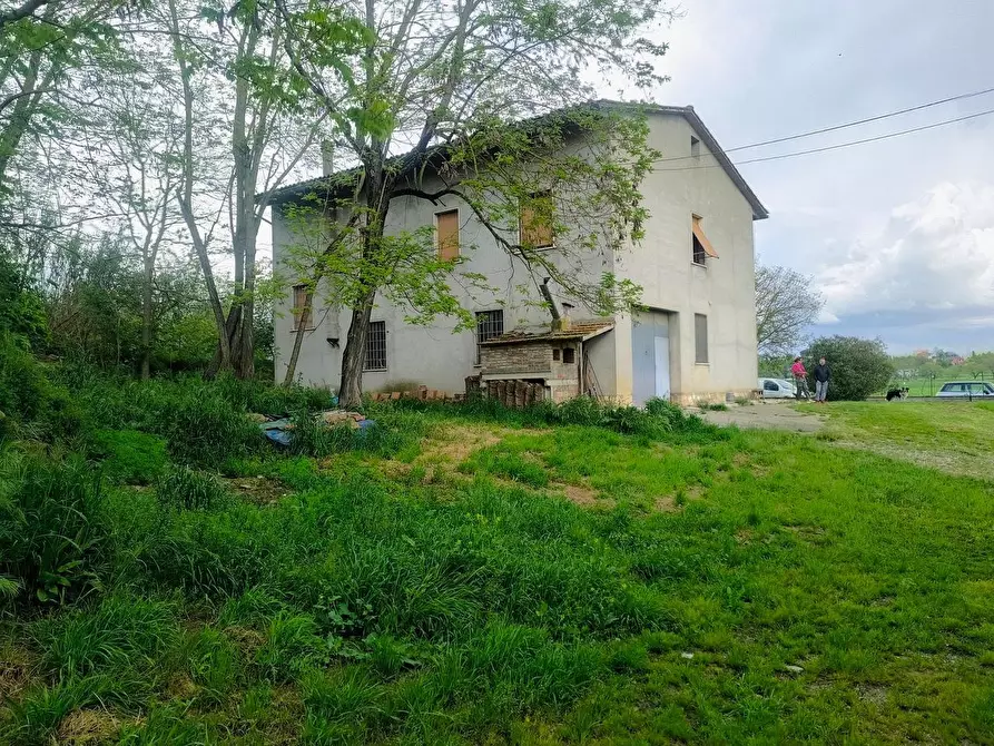 Immagine 1 di Casa colonica in vendita  a Lucignano