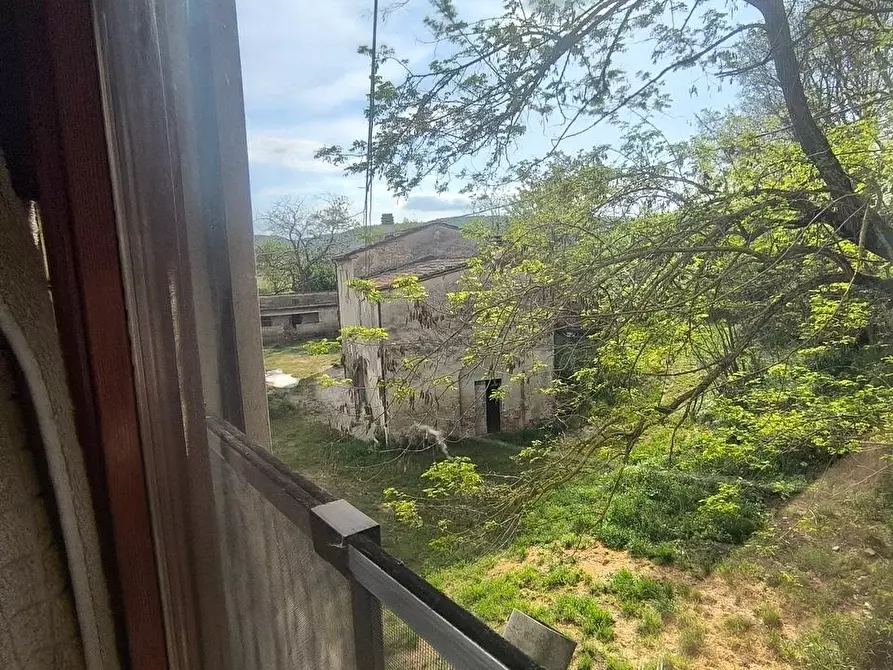 Immagine 12 di Casa colonica in vendita  a Lucignano