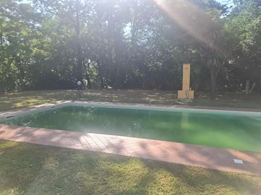 Immagine 11 di Villa in vendita  a Castelnuovo Magra