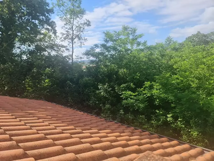 Immagine 38 di Villa in vendita  a Castelnuovo Magra