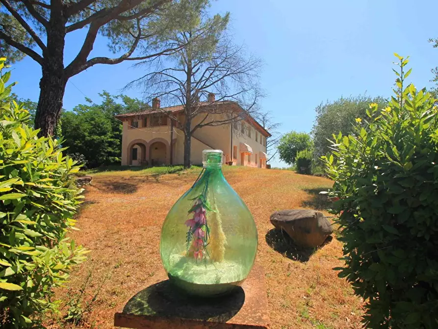 Immagine 46 di Casa colonica in vendita  a Palaia
