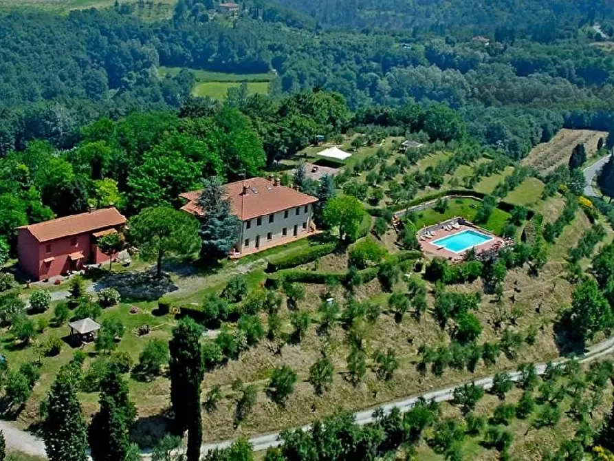 Immagine 6 di Casa colonica in vendita  a Palaia