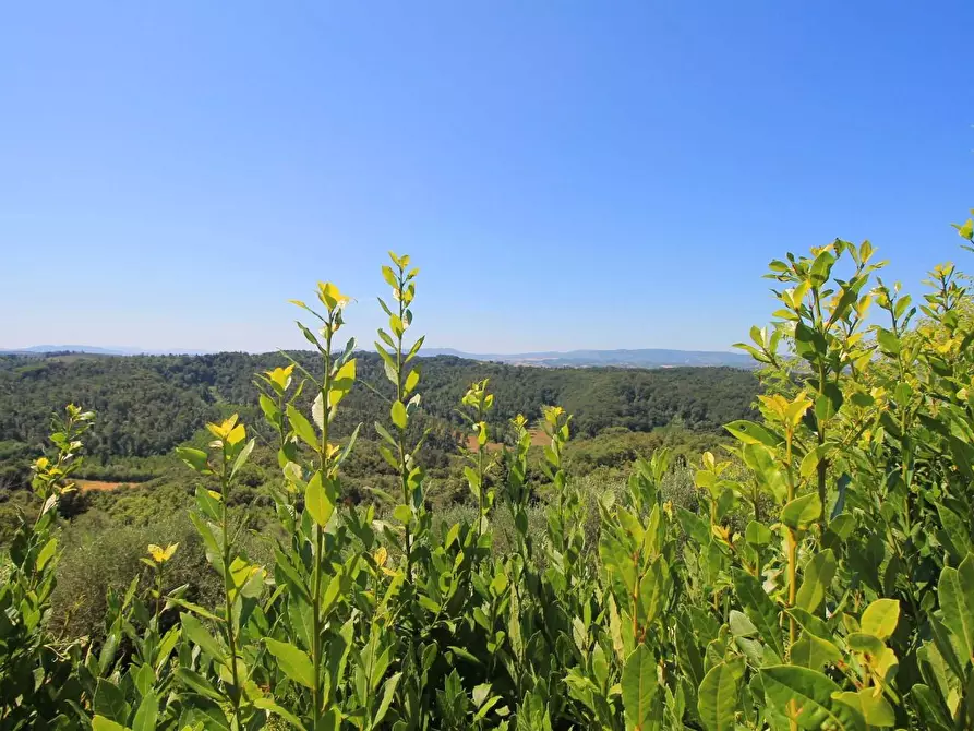 Immagine 36 di Casa colonica in vendita  a Palaia