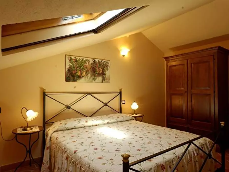 Immagine 11 di Casa colonica in vendita  a Palaia