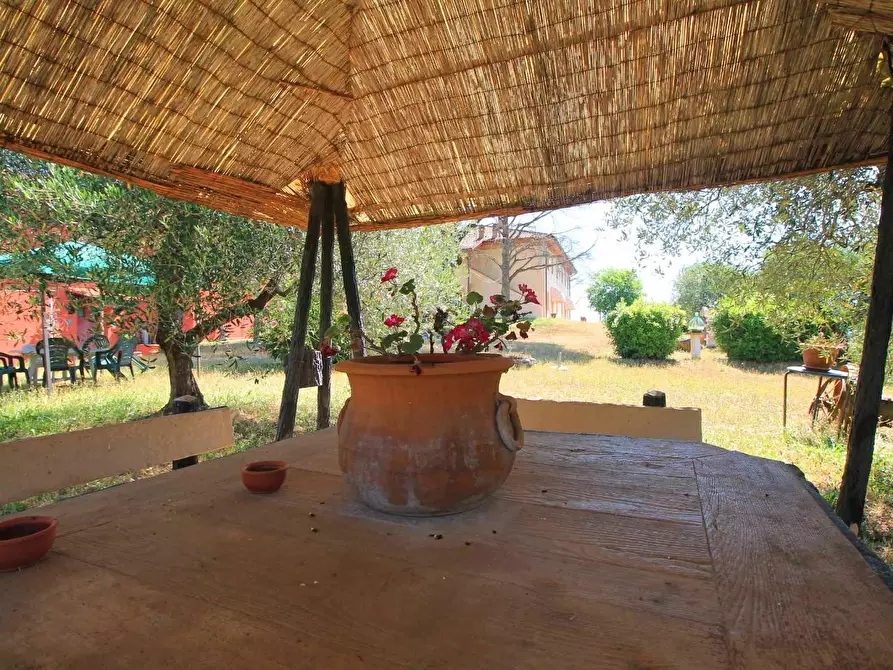 Immagine 49 di Casa colonica in vendita  a Palaia