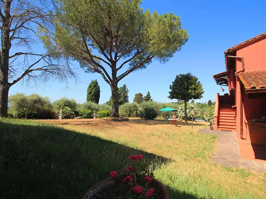 Immagine 31 di Casa colonica in vendita  a Palaia