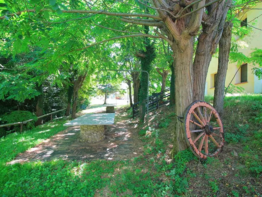 Immagine 33 di Casa colonica in vendita  a Palaia