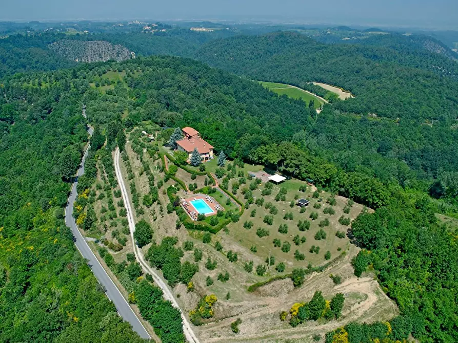 Immagine 5 di Casa colonica in vendita  a Palaia