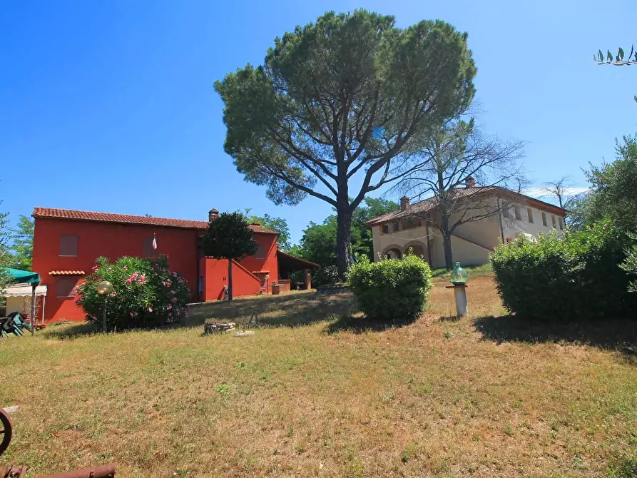 Immagine 47 di Casa colonica in vendita  a Palaia