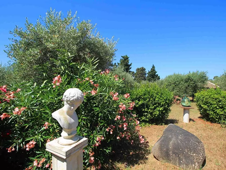 Immagine 28 di Casa colonica in vendita  a Palaia