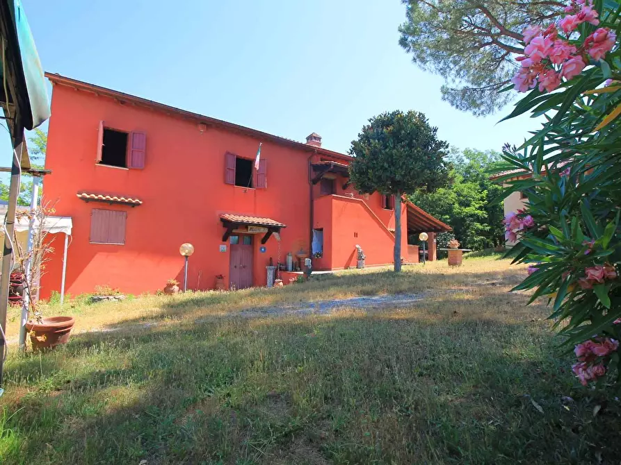 Immagine 27 di Casa colonica in vendita  a Palaia