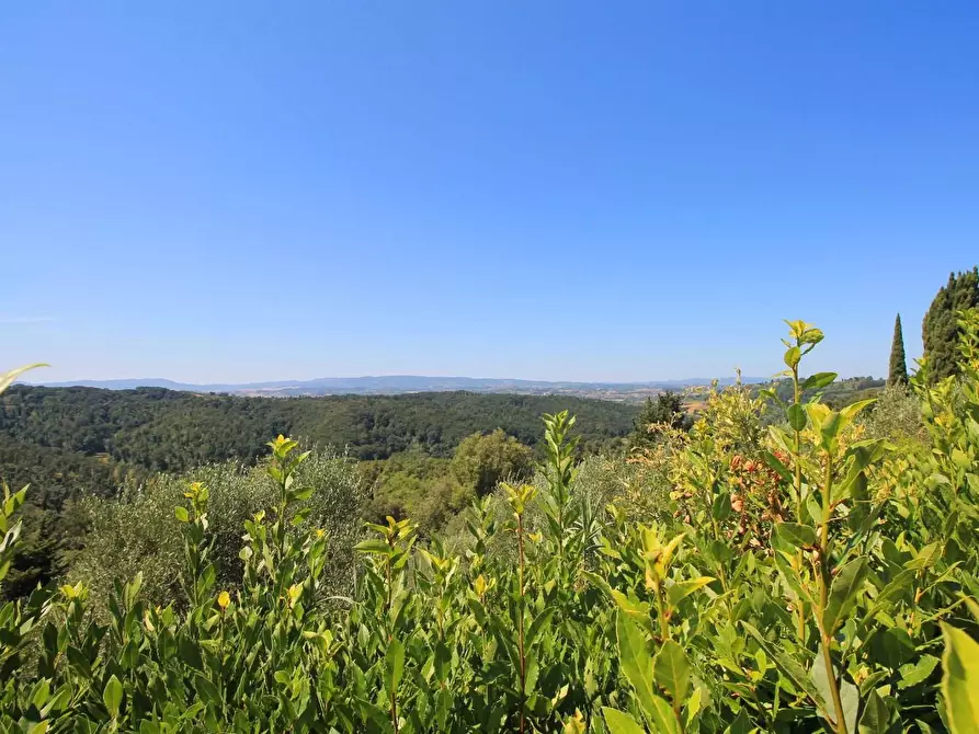 Immagine 41 di Casa colonica in vendita  a Palaia