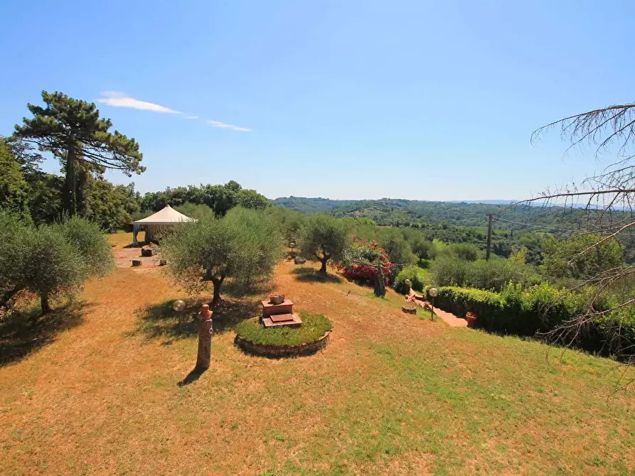 Immagine 40 di Casa colonica in vendita  a Palaia