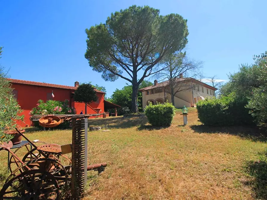 Immagine 48 di Casa colonica in vendita  a Palaia
