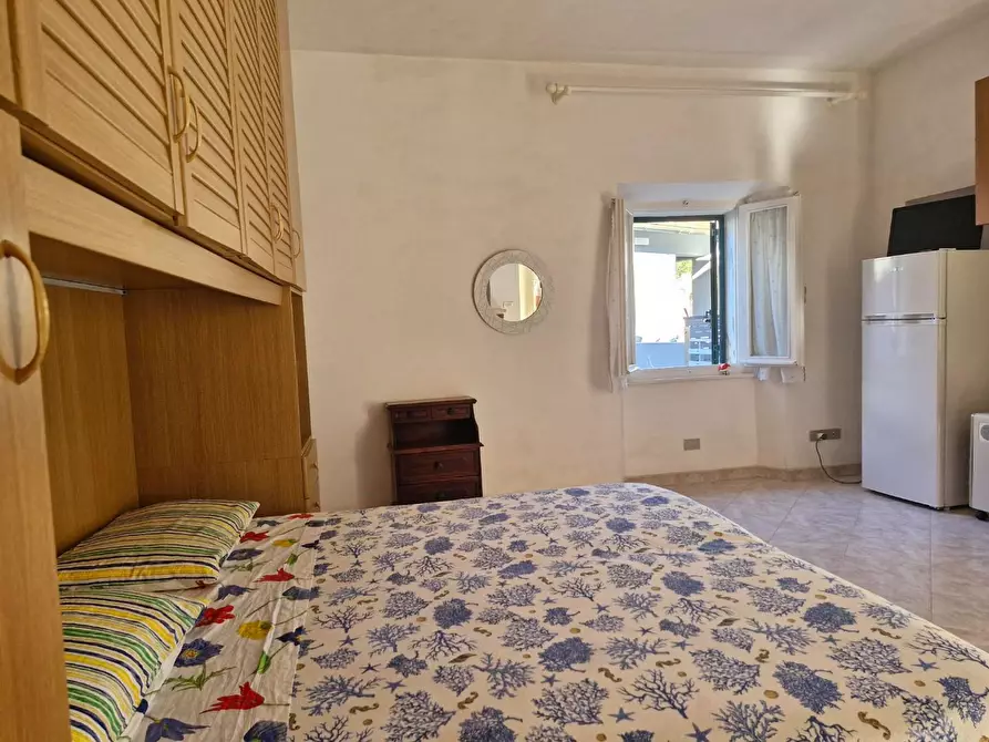 Immagine 11 di Appartamento in vendita  a Rio Marina