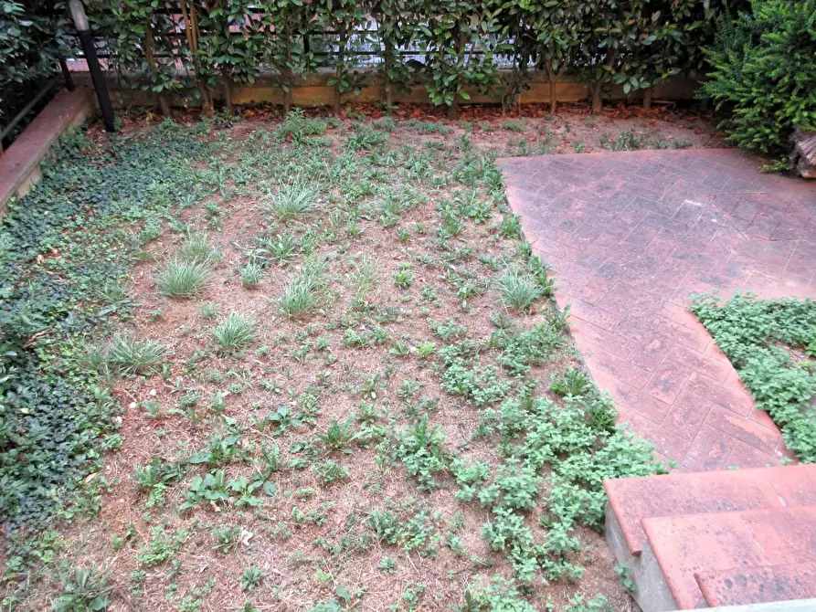 Immagine 17 di Villetta a schiera in vendita  a Capraia E Limite